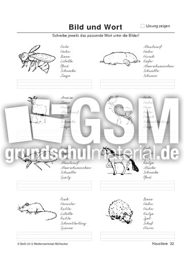 BuW Haustiere32.pdf